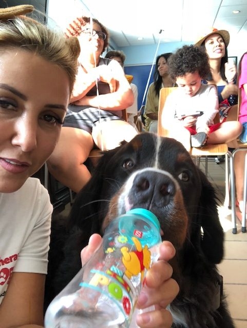 Fall Celebration at Ronald McDonald | Ale Ramos Therapy Animals