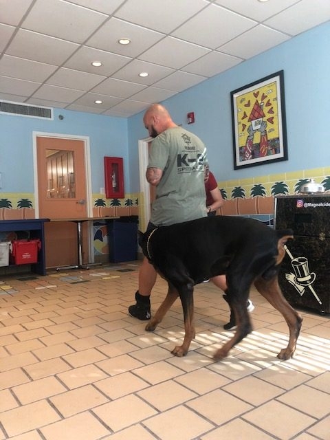 Fall Celebration at Ronald McDonald | Ale Ramos Therapy Animals