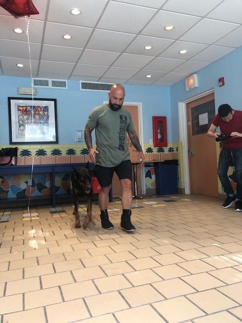 Fall Celebration at Ronald McDonald | Ale Ramos Therapy Animals