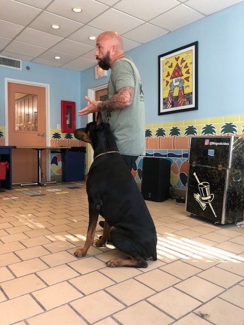 Fall Celebration at Ronald McDonald | Ale Ramos Therapy Animals