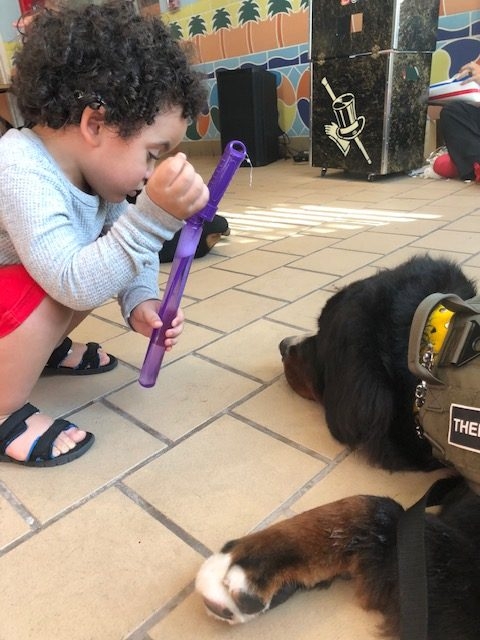 Fall Celebration at Ronald McDonald | Ale Ramos Therapy Animals