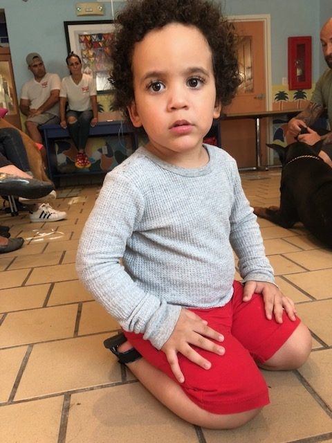 Fall Celebration at Ronald McDonald | Ale Ramos Therapy Animals