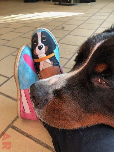 Fall Celebration at Ronald McDonald | Ale Ramos Therapy Animals