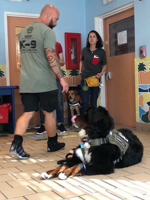 Fall Celebration at Ronald McDonald | Ale Ramos Therapy Animals