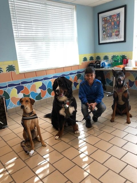 Fall Celebration at Ronald McDonald | Ale Ramos Therapy Animals