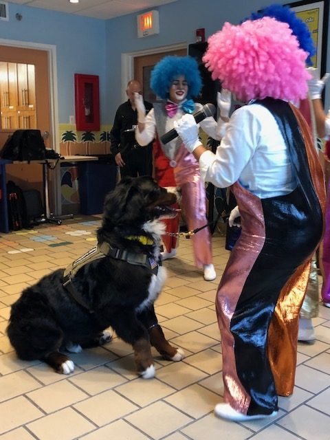 Fall Celebration at Ronald McDonald | Ale Ramos Therapy Animals