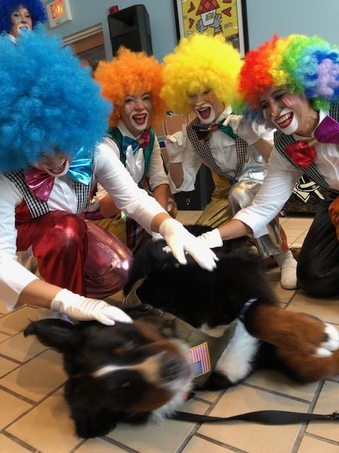 Fall Celebration at Ronald McDonald | Ale Ramos Therapy Animals