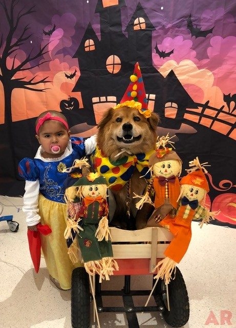 Halloween at Nicklaus Children’s Hospital | Ale Ramos Therapy Animals