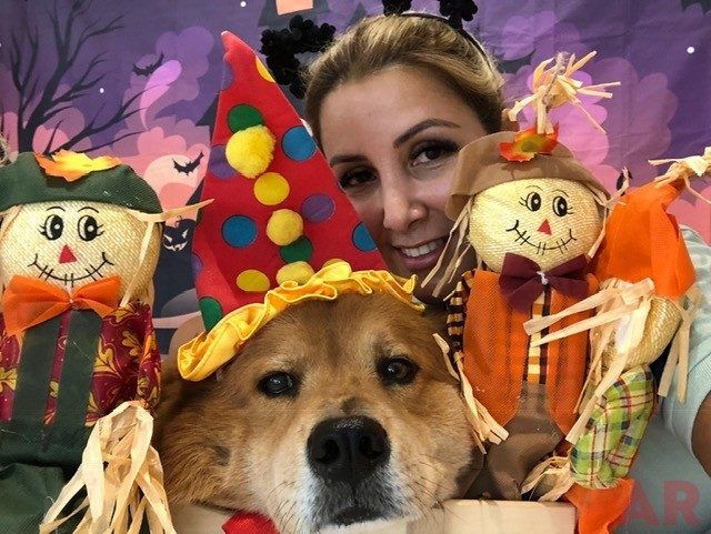 Halloween at Nicklaus Children’s Hospital | Ale Ramos Therapy Animals