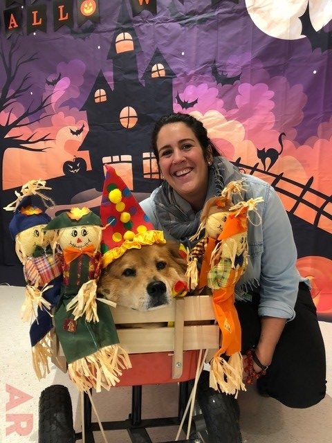 Halloween at Nicklaus Children’s Hospital | Ale Ramos Therapy Animals