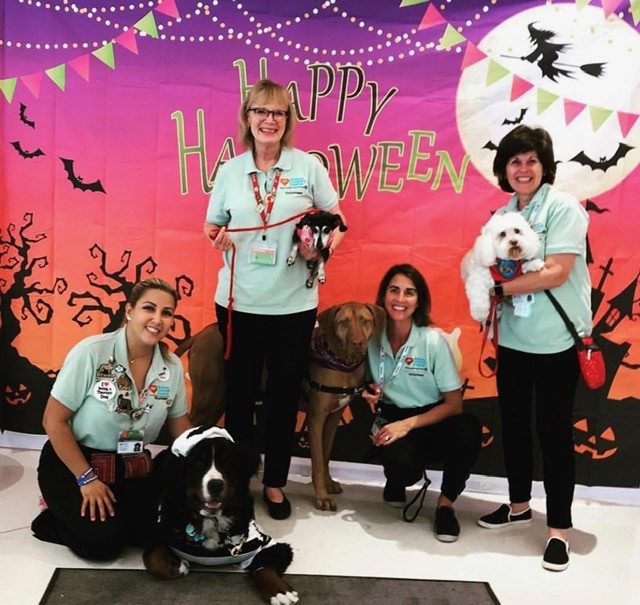 Halloween at Nicklaus Children’s Hospital | Ale Ramos Therapy Animals