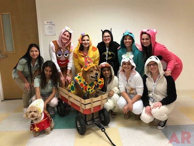 Halloween at Nicklaus Children’s Hospital | Ale Ramos Therapy Animals