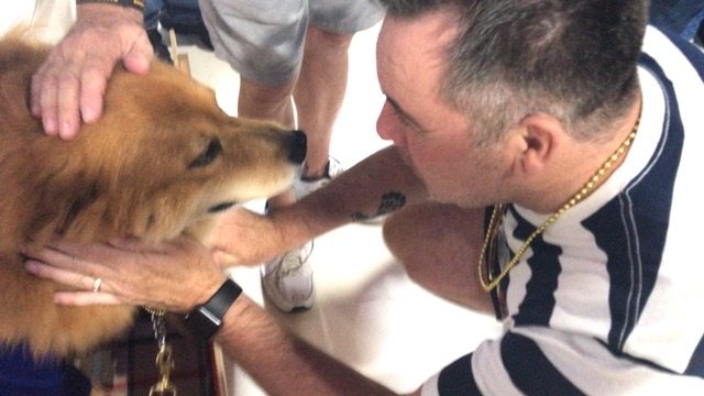 Heroes Hangout Event | Ale Ramos Therapy Animals