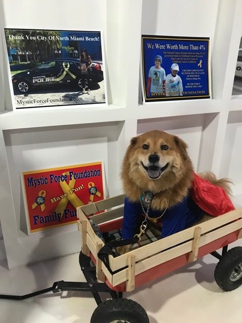 Heroes Hangout Event | Ale Ramos Therapy Animals