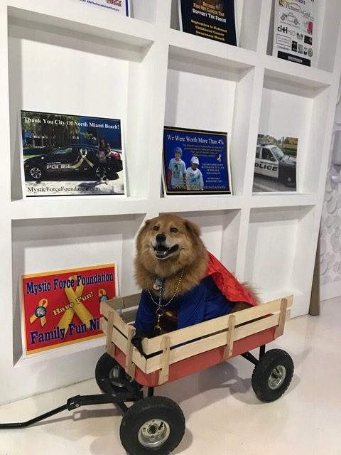 Heroes Hangout Event | Ale Ramos Therapy Animals