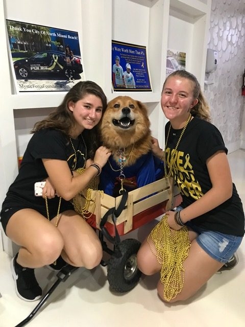 Heroes Hangout Event | Ale Ramos Therapy Animals