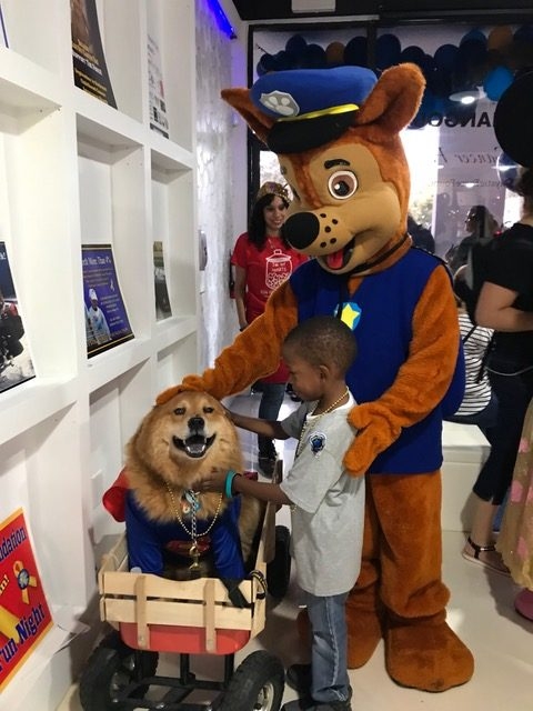 Heroes Hangout Event | Ale Ramos Therapy Animals
