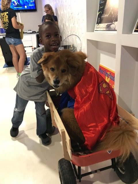 Heroes Hangout Event | Ale Ramos Therapy Animals