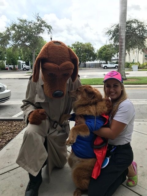 Heroes Hangout Event | Ale Ramos Therapy Animals