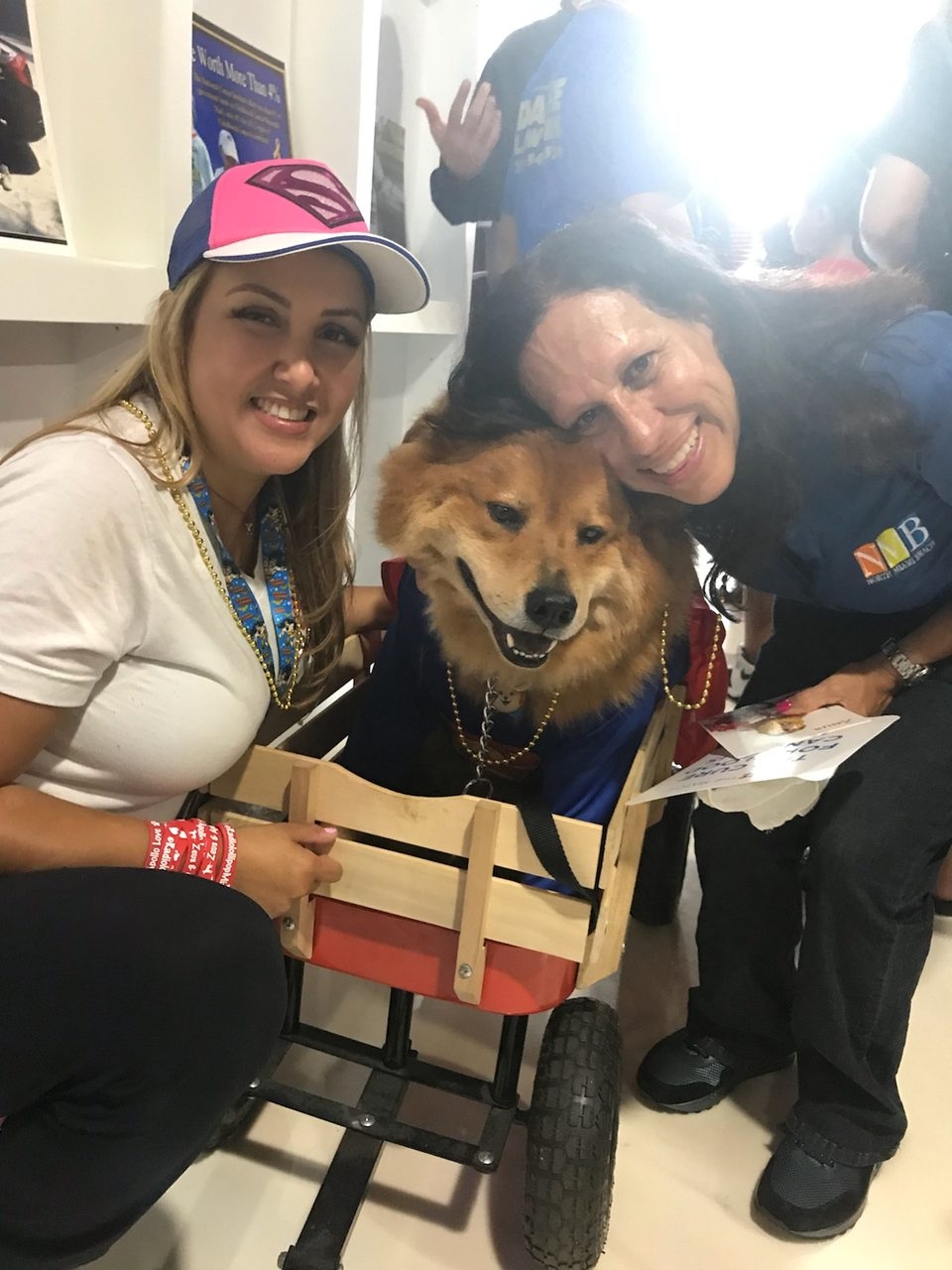 Heroes Hangout Event | Ale Ramos Therapy Animals
