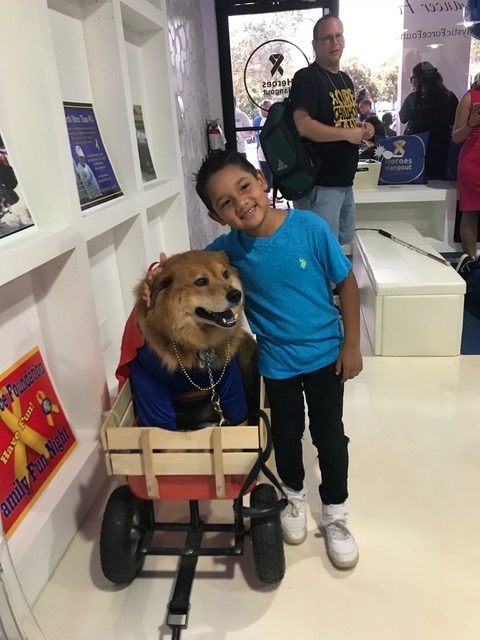 Heroes Hangout Event | Ale Ramos Therapy Animals