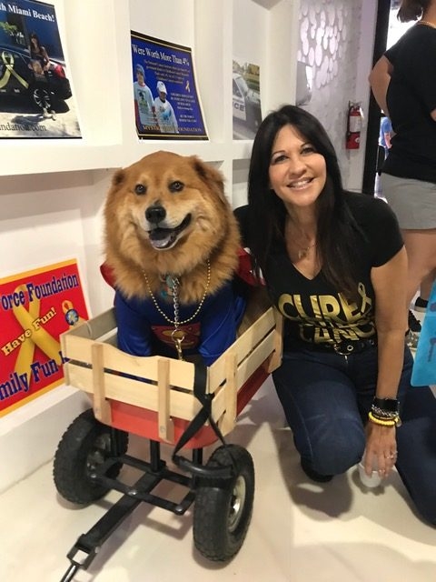 Heroes Hangout Event | Ale Ramos Therapy Animals