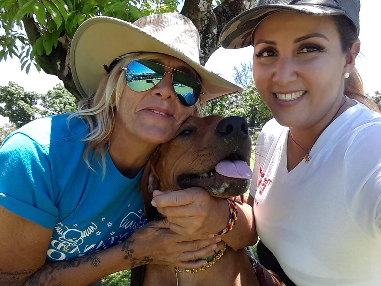 La Ventana de los Cielos Birthday | Ale Ramos Therapy Animals
