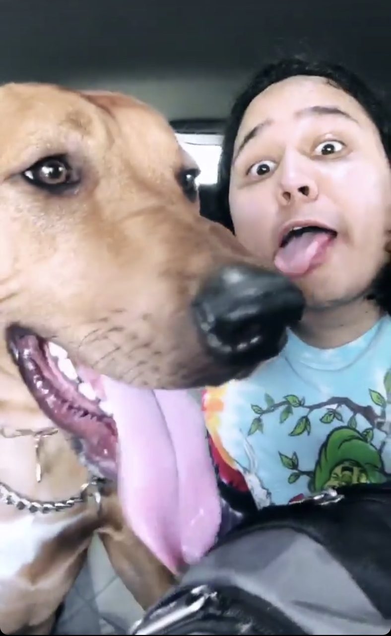 La Ventana de los Cielos Birthday | Ale Ramos Therapy Animals