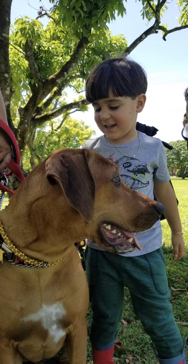 La Ventana de los Cielos Birthday | Ale Ramos Therapy Animals