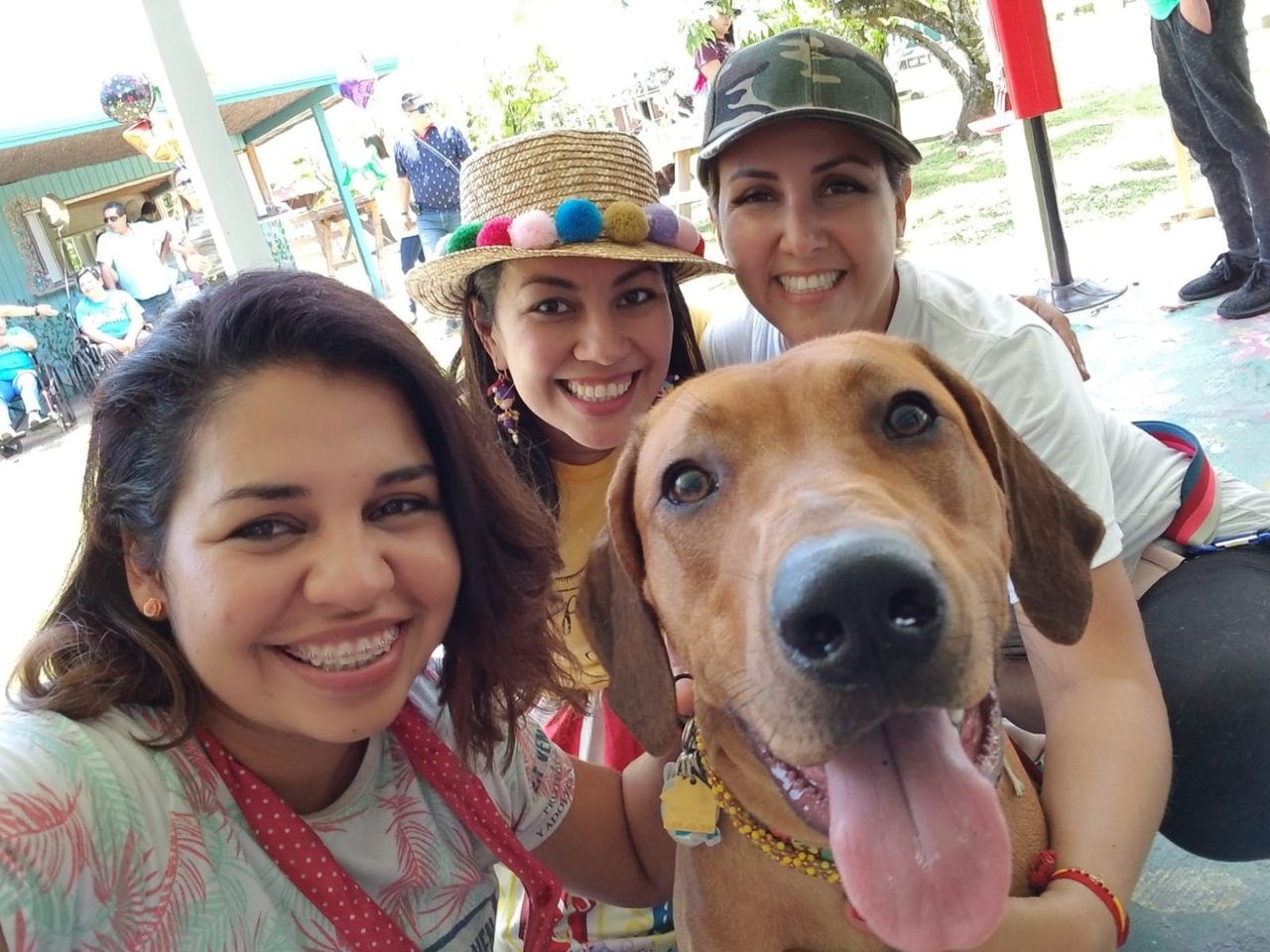 La Ventana de los Cielos Birthday | Ale Ramos Therapy Animals