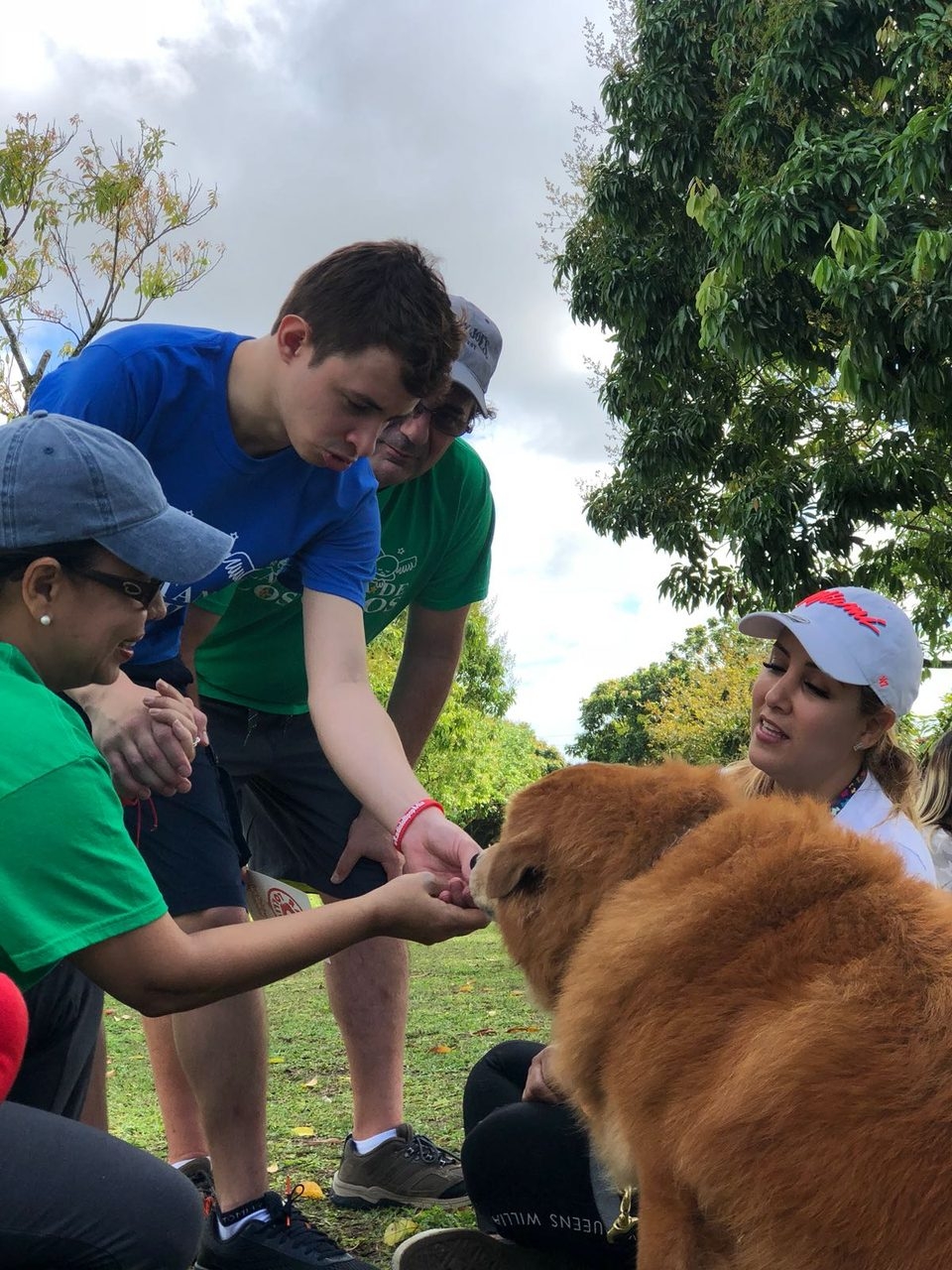 La Ventana de los Cielos | Ale Ramos Therapy Animals