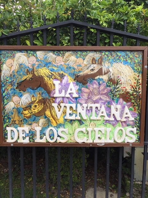 La Ventana de los Cielos | Ale Ramos Therapy Animals
