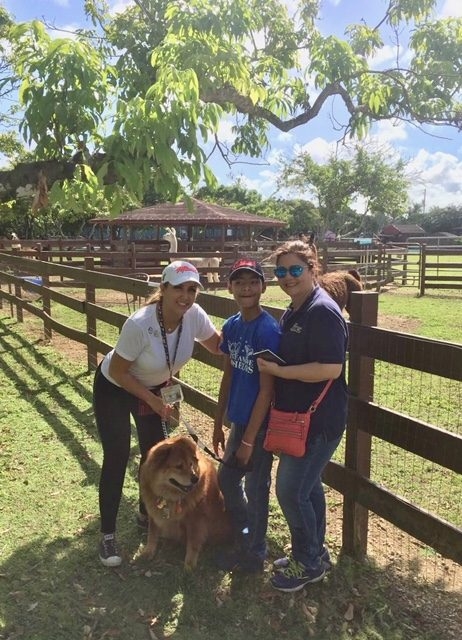 La Ventana de los Cielos | Ale Ramos Therapy Animals