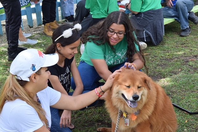 La Ventana de los Cielos | Ale Ramos Therapy Animals
