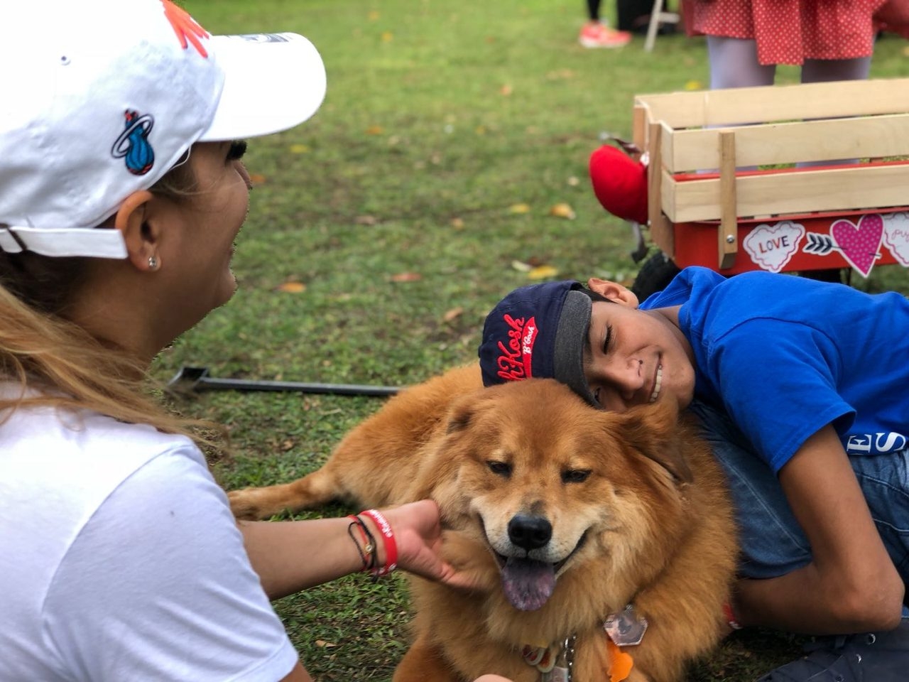 La Ventana de los Cielos | Ale Ramos Therapy Animals