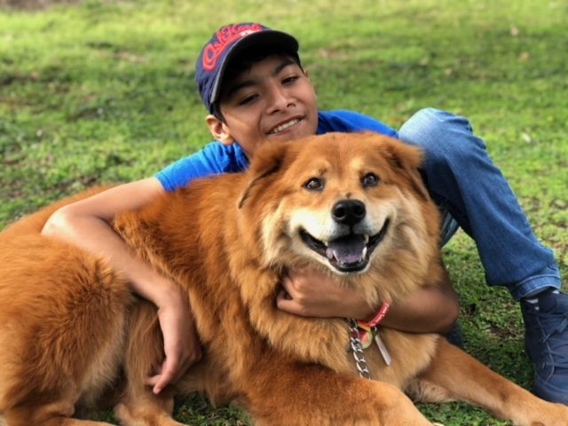 La Ventana de los Cielos | Ale Ramos Therapy Animals