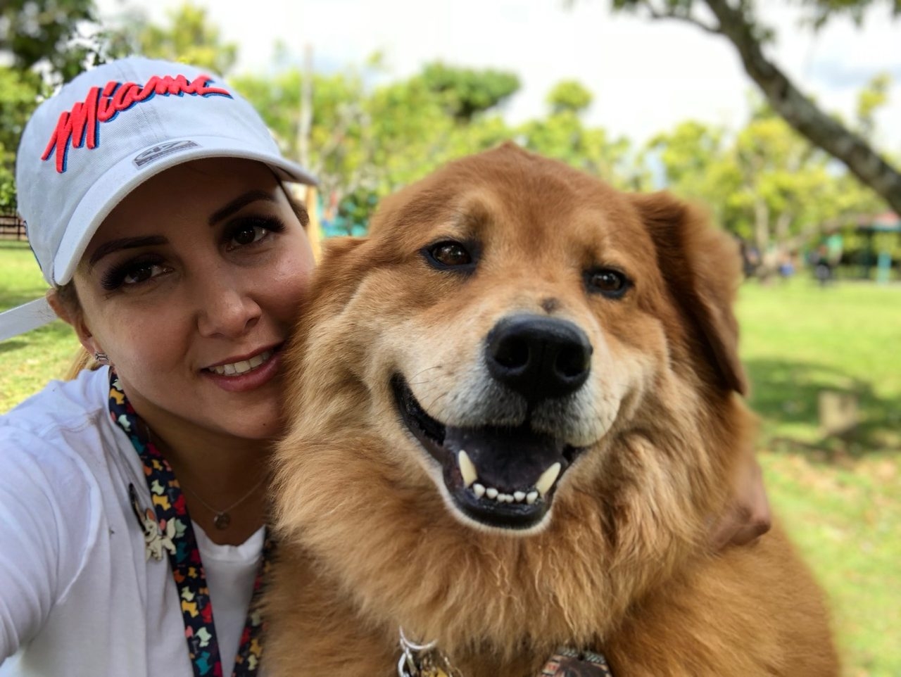La Ventana de los Cielos | Ale Ramos Therapy Animals