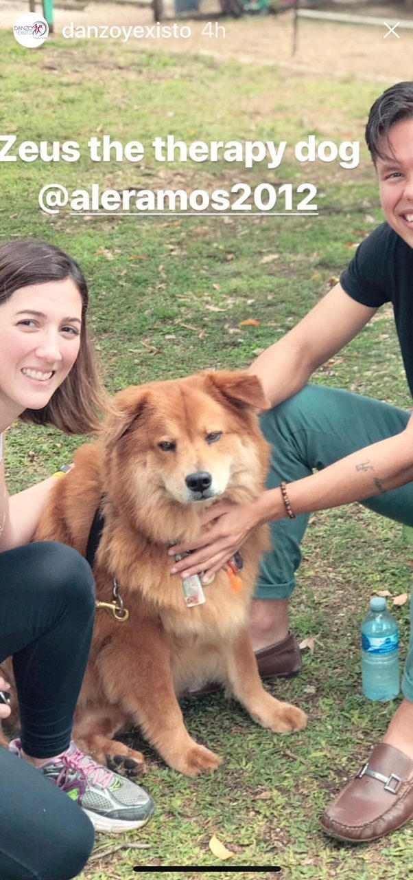 La Ventana de los Cielos | Ale Ramos Therapy Animals