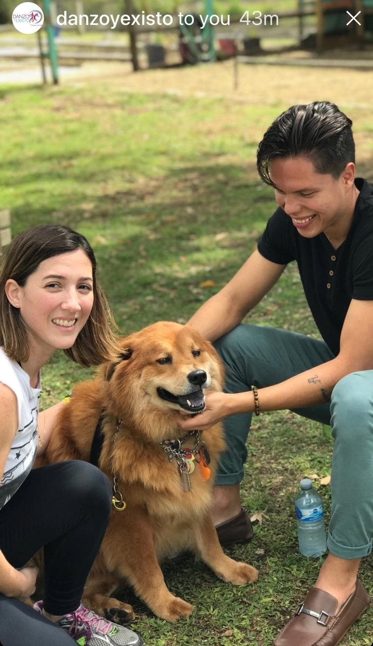 La Ventana de los Cielos | Ale Ramos Therapy Animals