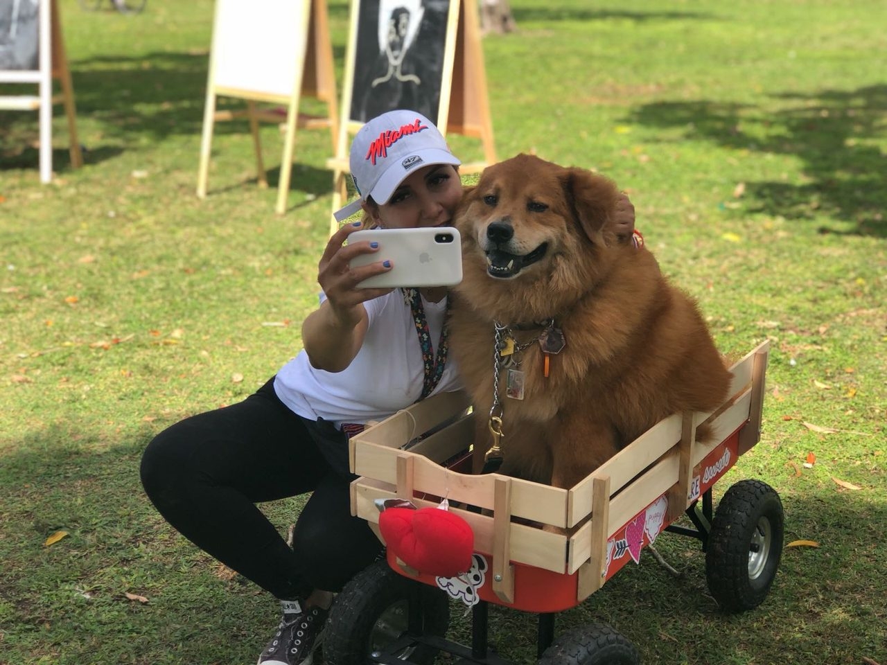 La Ventana de los Cielos | Ale Ramos Therapy Animals