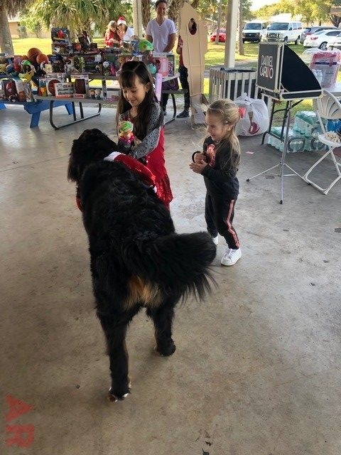 Nochebuena at His House | Ale Ramos Therapy Animals