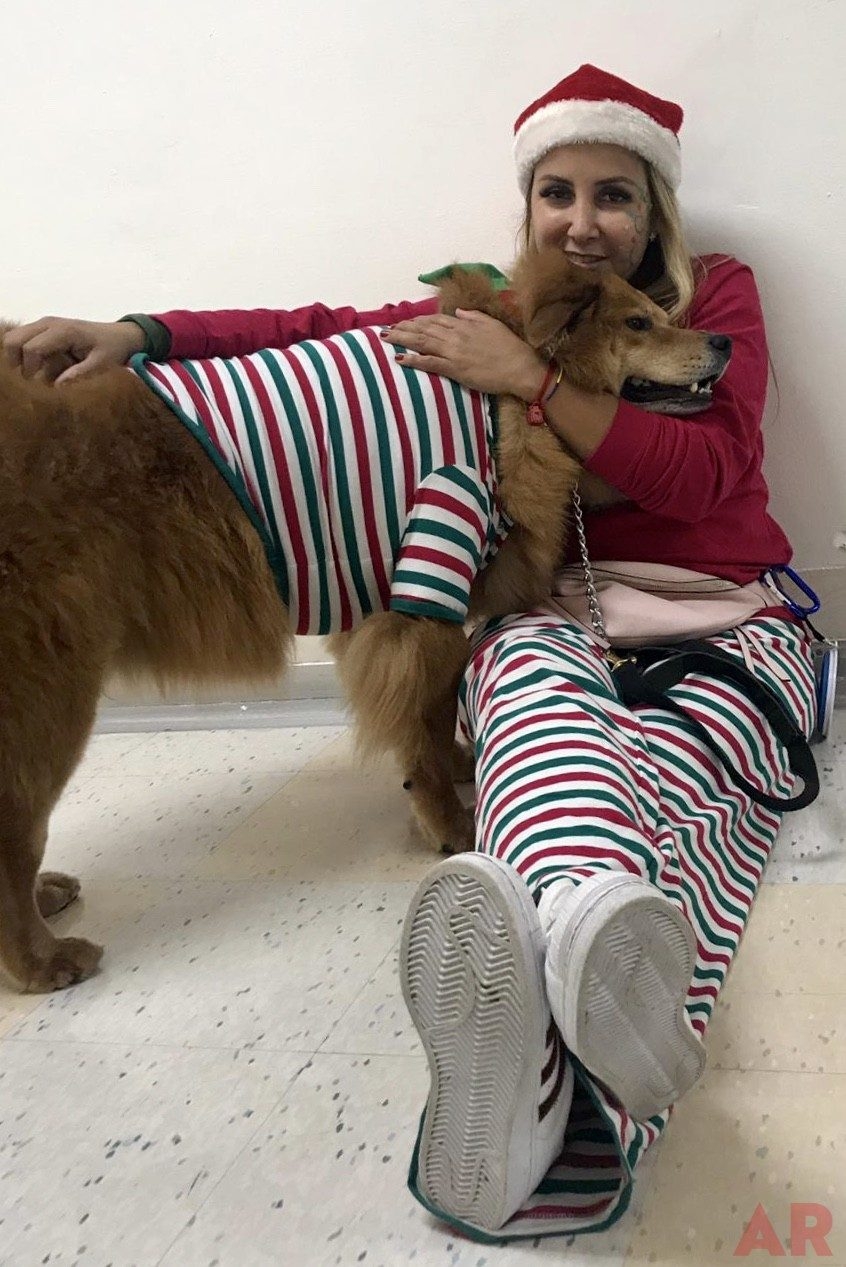 Pre-Christmas Visit at Nicklaus Children’s Hospital | Ale Ramos Therapy Animals