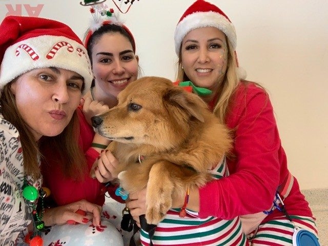 Pre-Christmas Visit at Nicklaus Children’s Hospital | Ale Ramos Therapy Animals