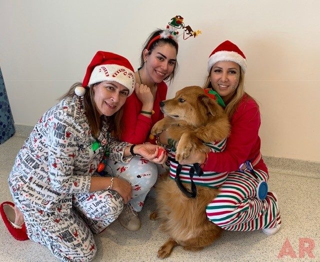 Pre-Christmas Visit at Nicklaus Children’s Hospital | Ale Ramos Therapy Animals