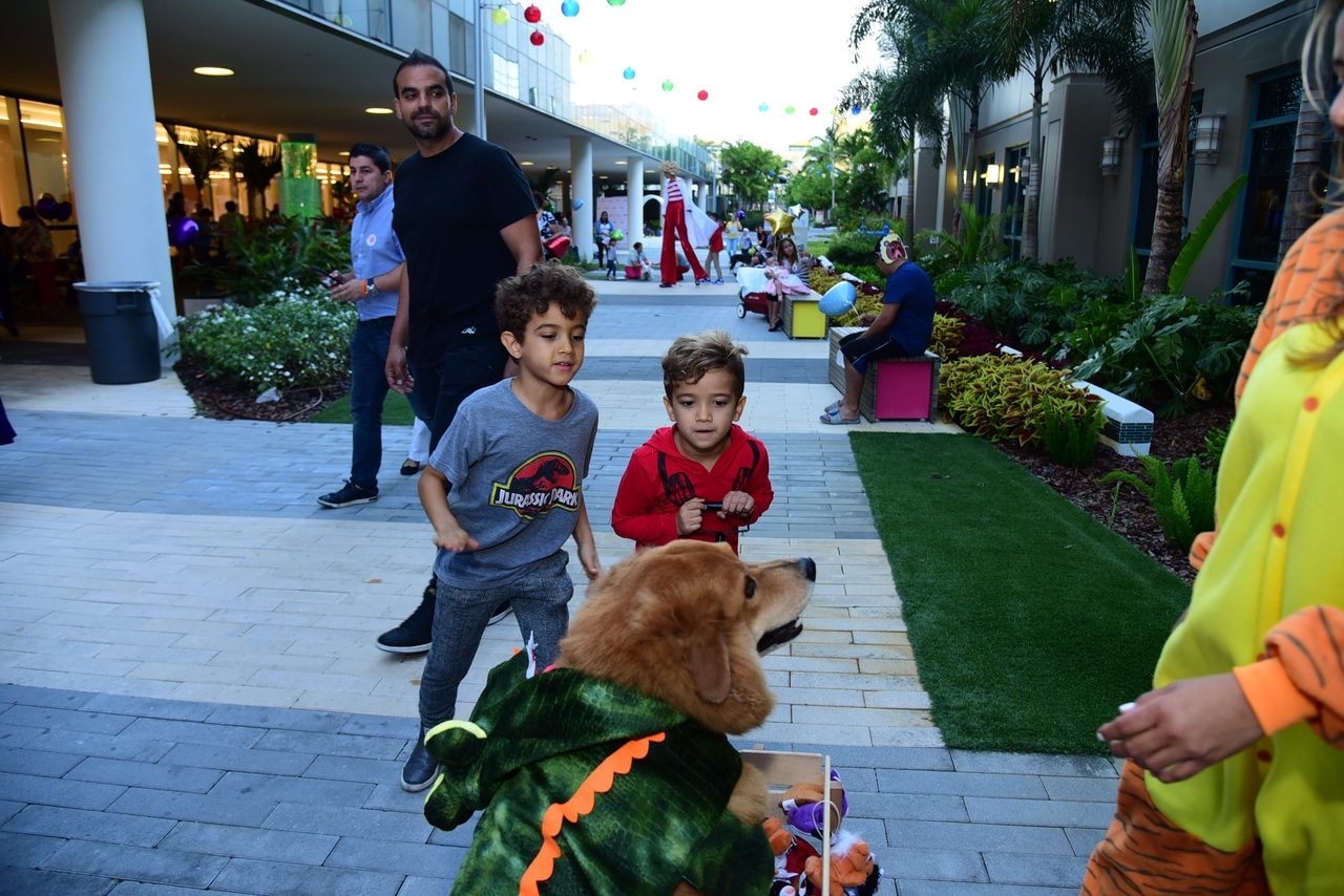 Radio Lollipop Birthday Party | Ale Ramos Therapy Animals