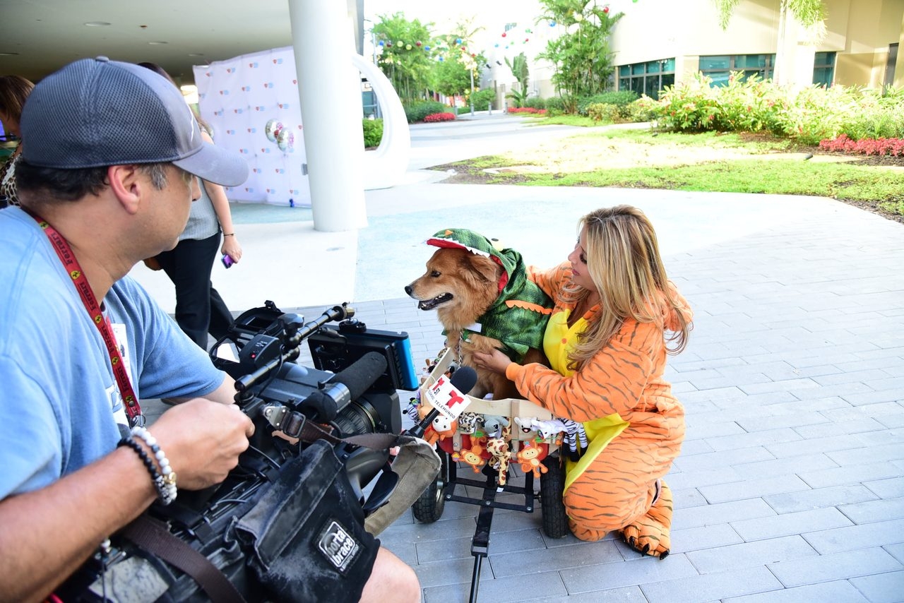 Radio Lollipop Birthday Party | Ale Ramos Therapy Animals