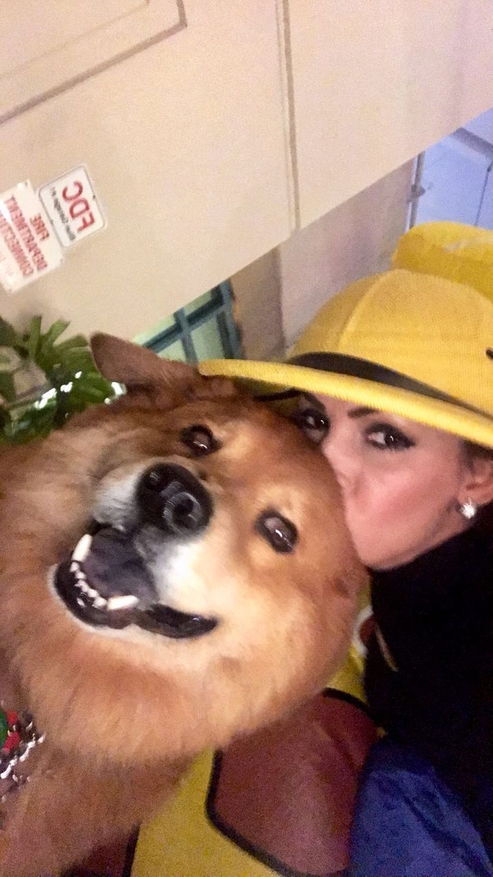 Radio Lollipop Birthday Party | Ale Ramos Therapy Animals