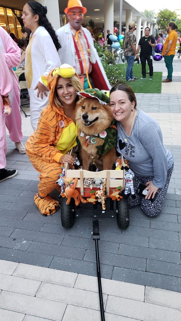 Radio Lollipop Birthday Party | Ale Ramos Therapy Animals