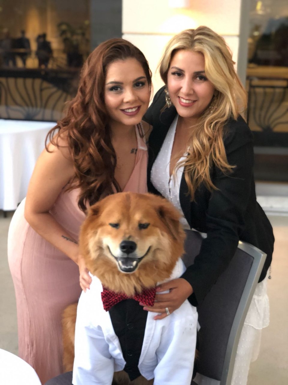 Recognition by Nicklaus Children’s Hospital - The Best Volunteers of the Year | Ale Ramos Therapy Animals