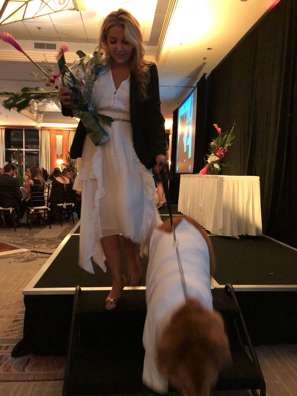Recognition by Nicklaus Children’s Hospital - The Best Volunteers of the Year | Ale Ramos Therapy Animals